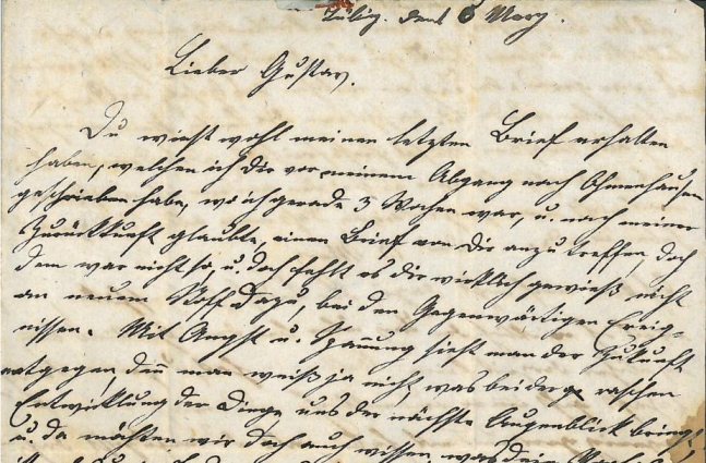 Brief der Tübingerin Rosine Lenz an ihren Sohn Gustav, März 1848